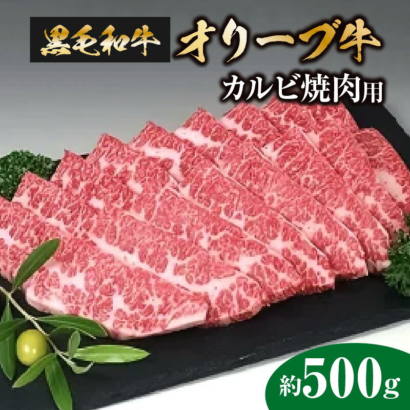 【ふるさと納税】 黒毛和牛 オリーブ牛 カルビ焼肉用 約500g [ 讃岐牛 国産 ブランド牛 カルビ 焼肉 セット ギフト グルメ 小分け 冷凍保存 BBQ ごちそう肉 お取り寄せグルメ 冷凍 送料無料 三豊市 20000 20,000円 台 返礼品 サヌキ畜産フーズ ]