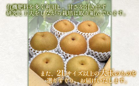 【令和6年産 先行予約】鶴岡市産 和梨（幸水or豊水）　約3kg　2L以上（秀品）