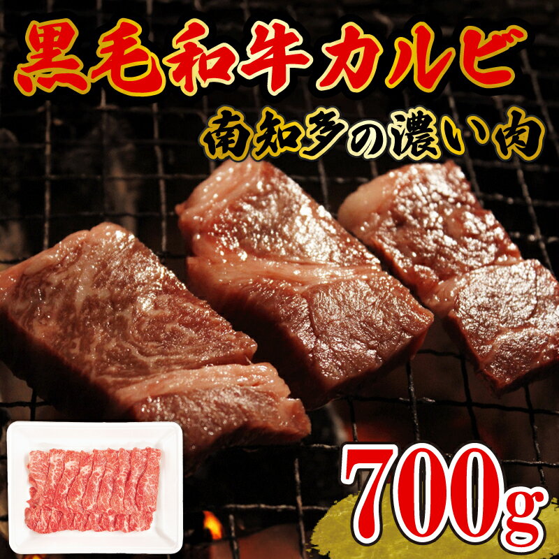 【ふるさと納税】数量限定 国産 牛肉 カルビ 焼肉 用 700g×1パック 4人前 平山牛 国産牛 ( ふるさと納税 肉 カルビ ふるさと納税 牛 カルビ ふるさと納税 牛肉 カルビ ふるさと納税 知多牛 ふるさと納税 焼肉 カルビ ) 愛知県 南知多町 【配送不可地域：離島】