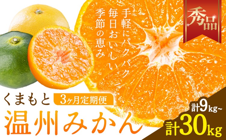 みかん 定期便 秀品 温州みかん 3ヶ月 選べる 内容量 計9kg 計15kg 計30kg 日本フルーツ株式会社《10月上旬-12月末頃出荷》熊本県 長洲町 ミカン 蜜柑 柑橘類 極早生 早生 中生 果物 フルーツ---sn_nfumtei_23000_mini_oct3---