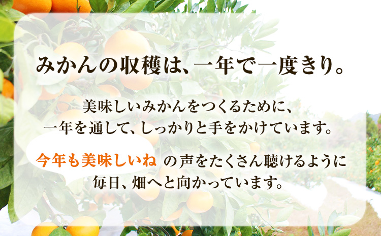 木成り完熟 温州みかん ミックスサイズ 10kg まるまつ農園《12月上旬-1月上旬頃より出荷》 和歌山県 日高川町 温州みかん みかん 完熟