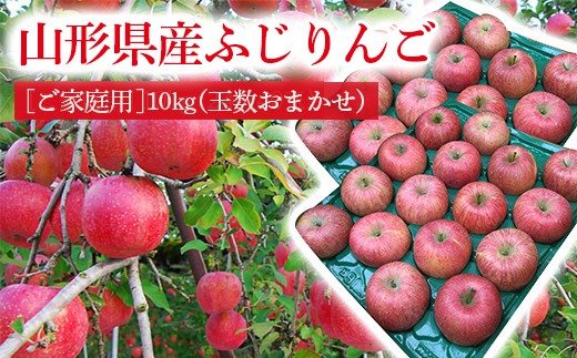 《2025年度発送》【ご家庭用】山形県産のサンふじりんご10kg（玉数おまかせ） りんご リンゴ 林檎 デザート フルーツ 果物 くだもの 果実 食品 山形県 FSY-0409