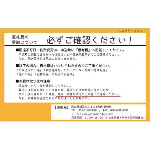 桃太郎ぶどう 1房 約500g 岡山県産 【先行予約 2026年8月下旬から順次発送】