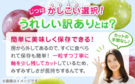【先行予約】 訳あり 紅白ぶどう2種（シャインマスカット＆クイーンニーナ）食べ比べ 切り落とし 計約700g  【合同会社 社方園】[ZBZ042]