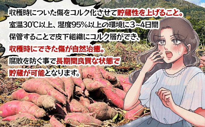 北海道 伊達 さつまいも 紅はるか 10kg 熟成 高糖度 サツマイモ 芋 甘い スイートヤバ芋 産地直送