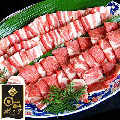 【ふるさと納税】【日出ポーク】焼肉セット 豚バラ(500g)&肩ロース(500g)【配送不可地域：離島】【1078235】