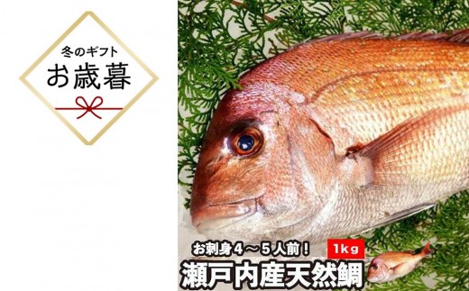 
                  【お歳暮】【処理方法選択可】活き締め真鯛1尾（約1kg）タイ たい 刺身 鍋
                