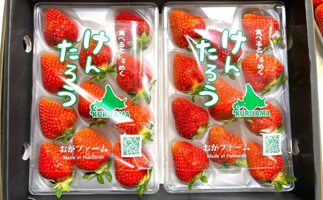 【期間限定】おがファームの道産子いちご 大粒「けんたろう」520g