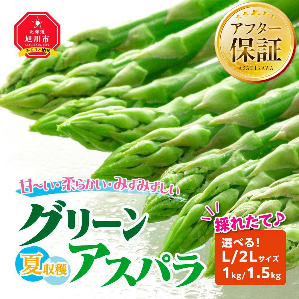 【ふるさと納税】◆2026年先行予約◆【容量選択可能】夏収穫グリーンアスパラ Lサイズ 1kg ・2Lサイズ1.5kgから選択可（2026年7月から発送開始予定） | 野菜 アスパラ グリーンアスパラ アスパラガス 旭川市ふるさと納税 北海道ふるさと納税