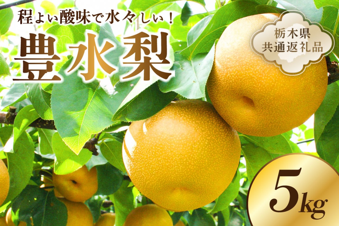 ns096-002　【栃木県共通返礼品】 JAなすの産　梨　豊水　5kg