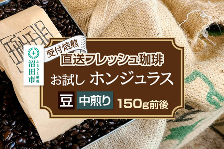 《受付焙煎》直送フレッシュ珈琲 お試し ホンジュラス【豆／中煎り】約150g 珈琲倶楽部 沼田店