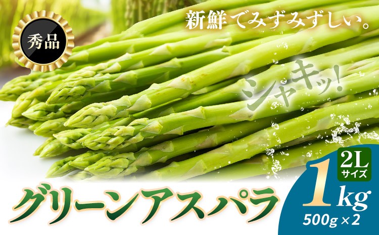 
                  【秀品/2Lサイズ】朝採り グリーンアスパラ 1kg (500g×2) 北海道日高産 JA門別町 産地直送 期間限定：4月上旬-5月末発送 アスパラ 春野菜 極太 鮮度抜群！贅沢な旬の味覚
                