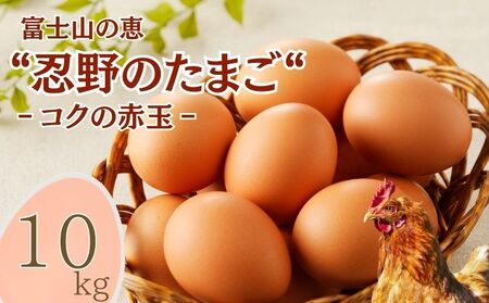 【忍野のたまご】コクの赤玉【10㎏】