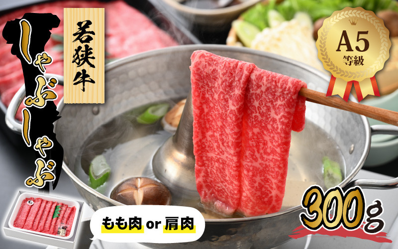 
若狭牛 (A5ランク) しゃぶしゃぶ用 300g【牛肉 BBQ バーベキュー アウトドア A5ランク しゃぶしゃぶ お取り寄せ 黒毛和種 もも肉 肩肉 冷凍 1パック 小分け】[A-022007]
