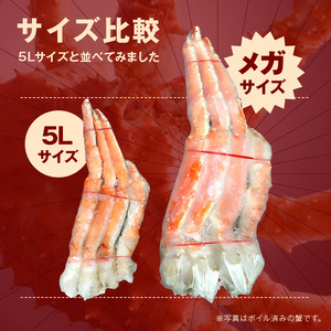 【1肩2.5kgの超極太10L以上メガサイズ】本たらば蟹 生肩 2.5kg 1肩 約2.5kg 本タラバ シュリンク 生 蟹の丸山 たらば蟹 生【087B-023】