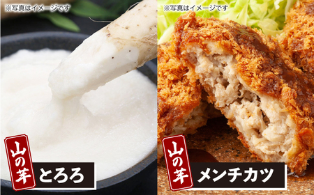 【全6回定期便】山の芋元気セット[APAD004] 冷凍食品 おかず 惣菜