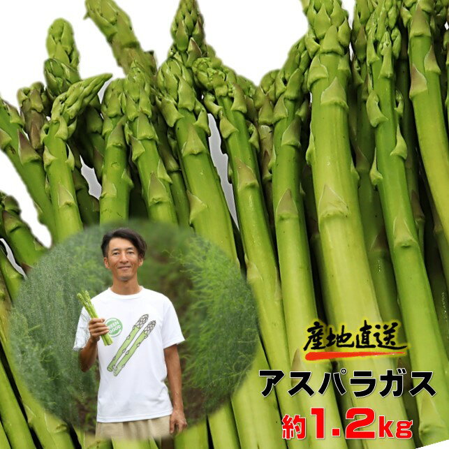 【ふるさと納税】予約受付！5月初旬頃から順次発送！採りたて 春の アスパラガス 約 1.2kg 新鮮 野菜 グリーン アスパラ 産地直送 岩手県 北上市産 数量限定 不揃い サイズ アスパラ王子 石井建一 岩手県 北上市 C0511 春野菜