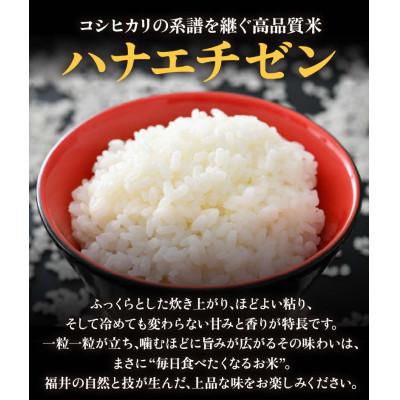 ふるさと納税 あわら市 【令和8年産】【一等米】エコ栽培ハナエチゼン 精米10kg (5kg×2袋) |  | 01
