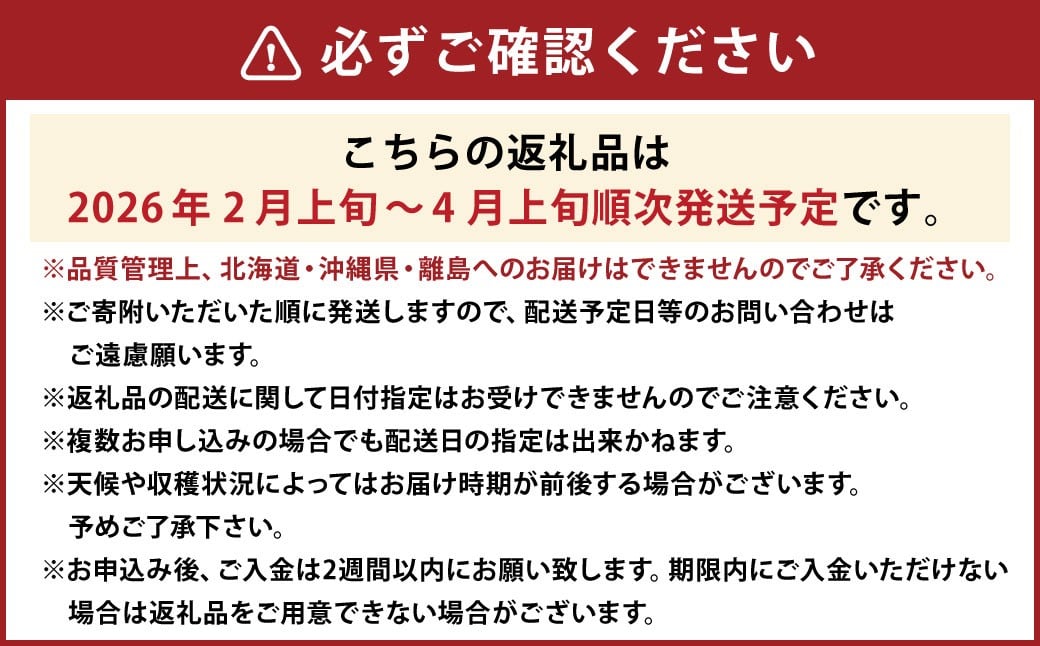 ティッシュボックス用 特別仕様の桐箱入り プレミアム あまおう 約400g×1パック