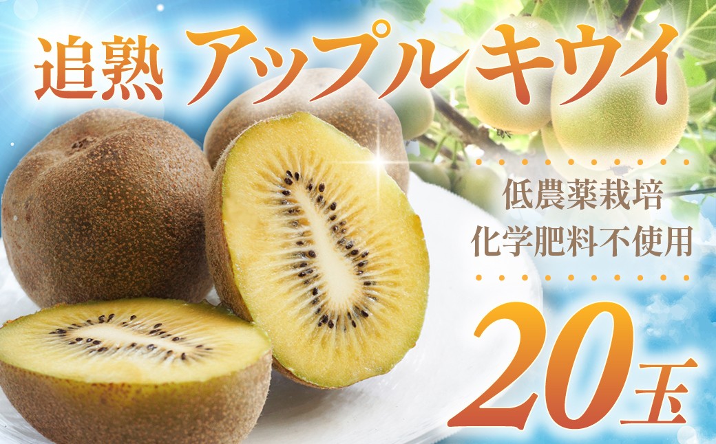 
                  低農薬栽培 追熟アップルキウイ 20個 化学肥料不使用 キウイ フルーツ 果物 くだもの キウイフルーツ ゴールドキウイ アップルキウイ 完熟 追熟 三重県 多気町 TE-01
                