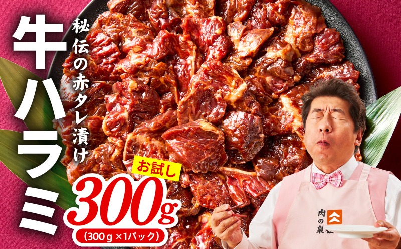 010B1883 【お試し】牛ハラミ 300g【お試し 秘伝の赤タレ漬け 牛肉 焼肉用 焼くだけ はらみ 小分け BBQ やきにく 肉厚 高評価 訳あり サイズ不揃い】