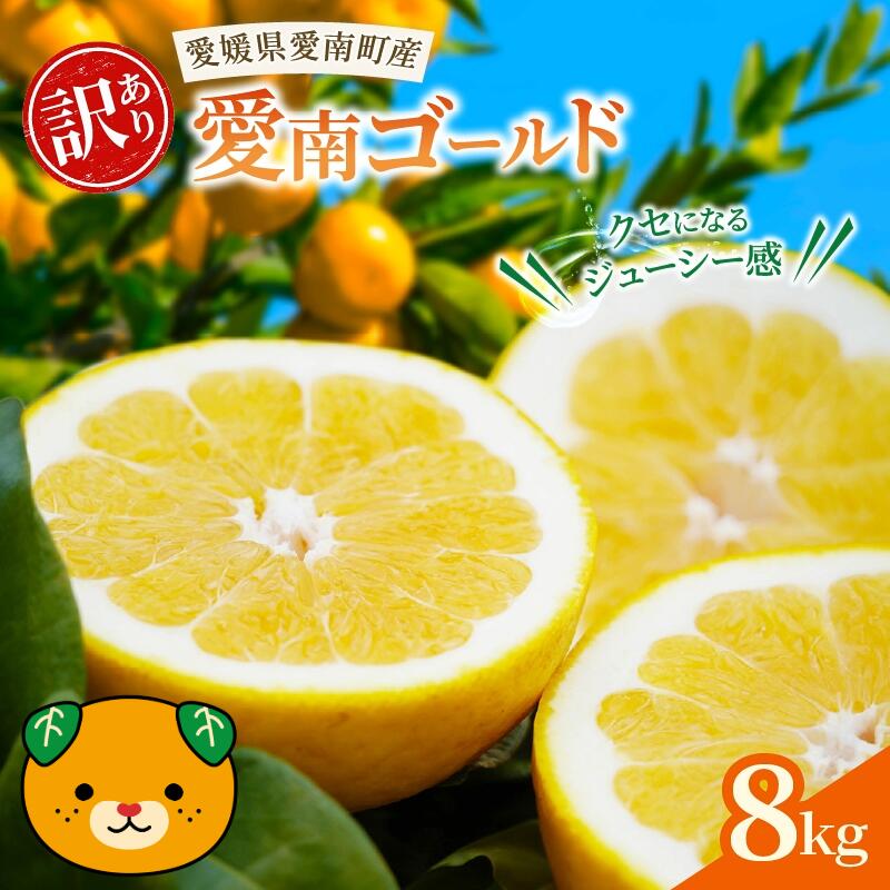 【ふるさと納税】 訳あり 愛南ゴールド ( 河内晩柑 ) 2kg/5kg/8kg 先行予約 蜜柑 河内晩柑 和製 グレープフルーツ 傷 不揃い 規格外 常温 愛媛県 愛南町青果市場 発送:2026年 4月〜なくなり次第終了