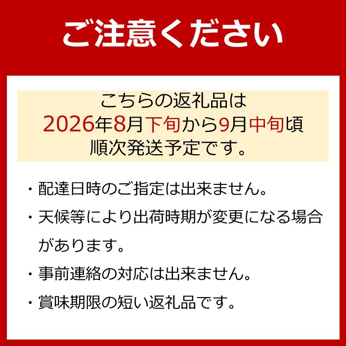 ［先行予約］巨峰 約2kg［朝採り］［葡萄・ぶどう］［種なしブドウ］［フルーツ・果物］［2026年8月下旬頃から順次発送］CZ176