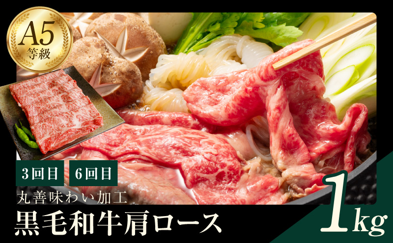 黒毛和牛 定期便 全6回 （ステーキ／焼肉／すき焼き・しゃぶしゃぶ） 12万円コース 丸善味わい加工【毎月配送コース】 099Z240
