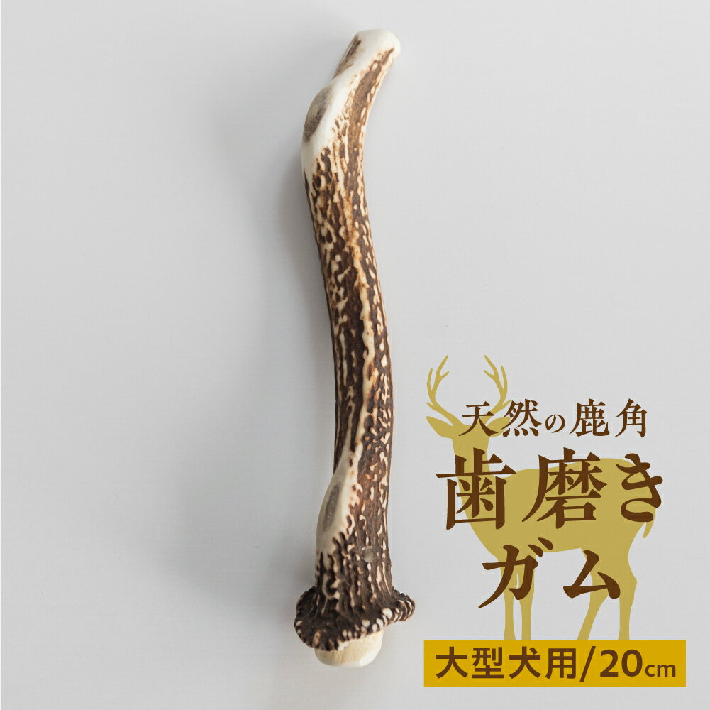 【ふるさと納税】鹿角 犬用 歯磨きガム 20cm 大型犬用 デンタルケア おもちゃ ペット用品 犬 消毒済み 国産 天然 [mt1859] 7000円