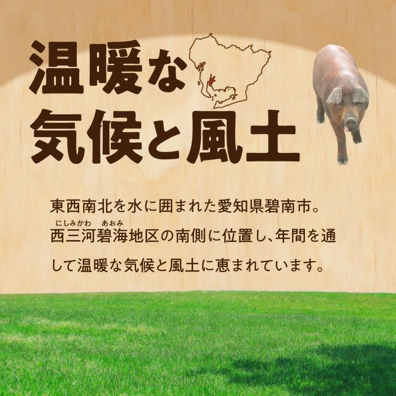 ブランド豚 “三州あおみ豚” 熱盛りパック 計1.35kg（ミンチ700g＆小間切れ650g） 豚肉 冷凍 H030-010