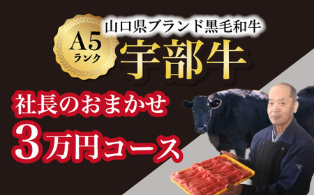 【山口宇部牛】社長おまかせ＜３万円コース＞黒毛和牛Ａ５ランク宇部牛 AX11-FN　（黒毛 和牛 希少 宇部 山口牛 宇部牛 黒毛和牛 極上 牛 ブランド 牛 ふるさと納税 牛 絶品 牛 有名 牛 山口県ブランド 黒毛和牛 宇部市ブランド 黒毛和牛 こだわり 牛 スペシャル 牛 特産 牛 おまかせ 牛 A5ランク 希少 肉 A5 和牛 特別な お肉 銘店の 肉 サーロイン ステーキ 牛リブロース 牛リブ ローストビーフ ヘレステーキ ステーキ 肉 厳選 牛 精肉）