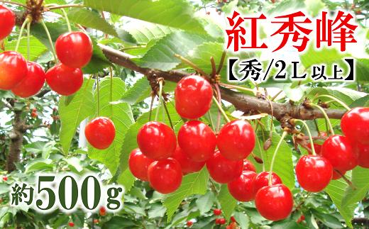 
            【令和7年産先行予約】 さくらんぼ 「紅秀峰」 約500g (約500g×1パック 秀 2L以上) バラ詰め 《令和7年6月下旬～発送》 『マルタニ農園』 サクランボ 果物 フルーツ 産地直送 生産農家直送 山形県 南陽市 [1218]
          