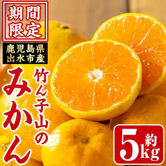 いずみ産 竹ん子山 の みかん 約5kg みかん 【イーサイドライン】 i1030