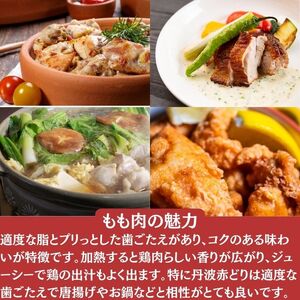 訳あり 丹波赤どり もも肉 2kg ＋ 1kg 計3kg 業務用 特別返礼品 ＜京都亀岡丹波山本＞ 鶏肉 もも 不揃い