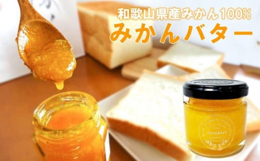 和歌山県 みかんバター 480g(80g×6瓶)