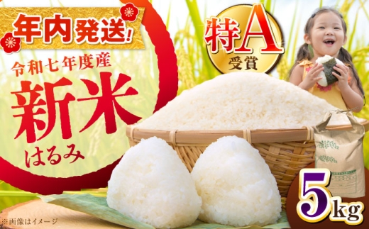 【12月25日(木)ご入金確認分まで年内発送】【令和7年産】【特Aランク受賞実績あり！】はるみ 5kg【井上農園】  新米 5kg 1袋 令和7年産はるみ コシヒカリ の遺伝子を引き継ぐ こしひかり キヌヒカリ 神奈川県産 精米 開成町 米 ご飯 白米 お米 特A 新米 こだわり 白米 こめ コメ お米 2025年産 おこめ 精米 R7 ご飯 ごはん 白飯 新米 ふるさと納税 [BDBB002]