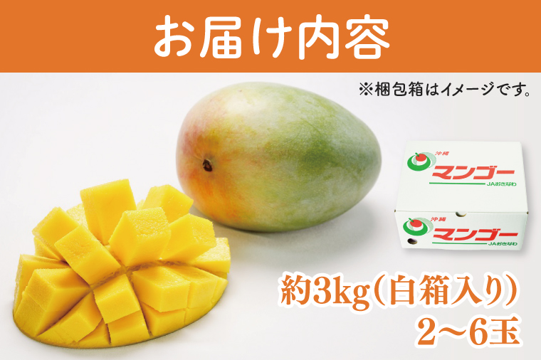 【2025年8月より順次発送】【先行予約】★訳あり★キーツマンゴー 2～6玉(約3kg)(白箱)ご家庭用｜沖縄県 豊見城市 訳あり わけあり 訳アリ キーツマンゴー マンゴー キーツ フルーツ 果物 くだもの おきなわマンゴー 家庭用 先行予約(AE018)