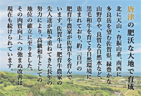 佐賀牛手造りハンバーグ 大小合計9個 140g×1個入×3袋(合計420g) 90g×2個入×3袋(合計540g) ギフト「2023年 令和5年」