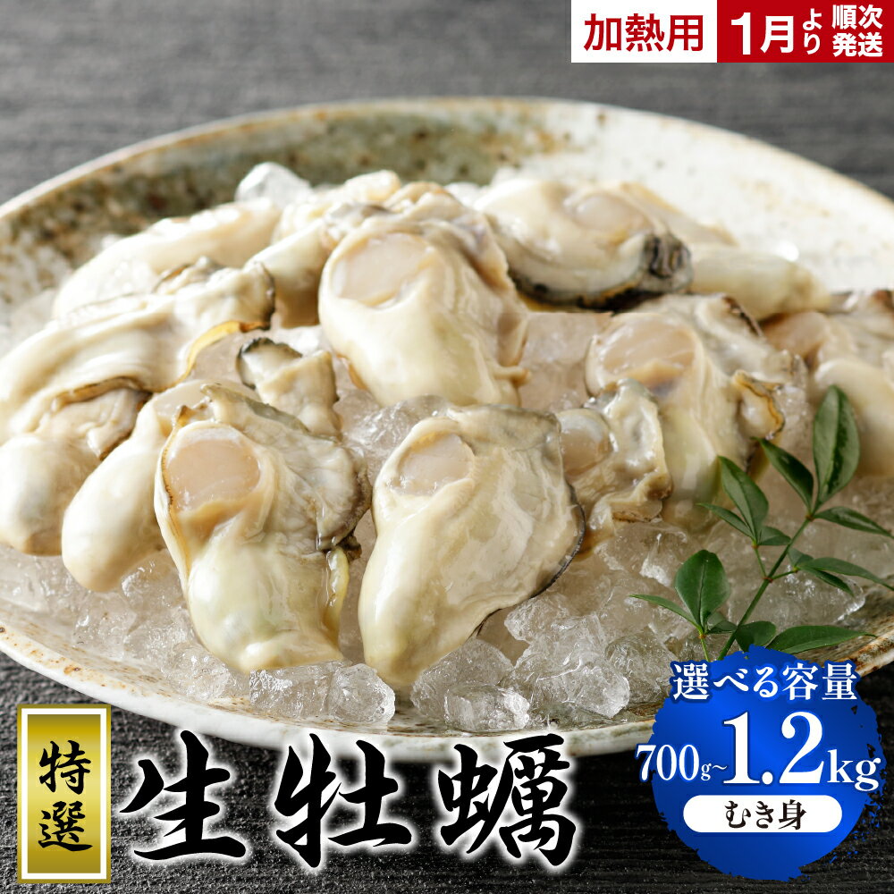 【ふるさと納税】【 数量限定 】 丸十水産 特選 生牡蠣 むき身 加熱用 選べる 700g / 1.2kg ( 600g × 2袋 ) 冷蔵便 国産 牡蠣 かき カキ 牡蛎 生 広島 音戸産 殻むき不要 旨味 濃厚 新鮮 美味しい 冬 旬 送料無料 産地直送 お取り寄せ 広島県 呉市