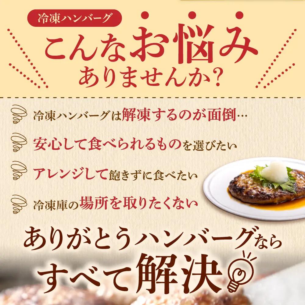 北海道産ありがとうハンバーグセット（ありがとうハンバーグ90g×12・チーズ90ｇ×6）｜冷凍 簡単 北海道 石狩市