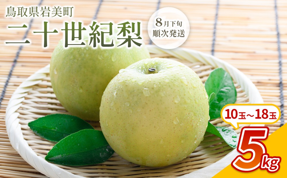
                  【先行予約】中野農園 梨 ”二十世紀梨” 5kg箱｜鳥取 岩美 梨 なし ナシ 20世紀梨 青梨 果物 フルーツ ※お届けは2026年8月下旬頃～【41026】
                
