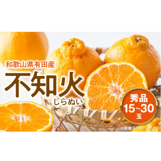 【2027年先行予約】不知火 しらぬい(デコポンと同品種) 秀品 15～30玉 和歌山県有田産_U6306