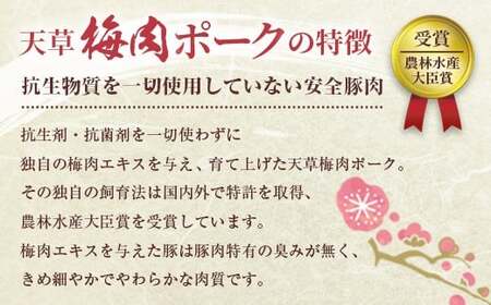 （飼育期間中）完全無薬！ 梅肉エキス肥育 熊本県産 天草梅肉ポーク 豚肩スライス 1.5kg 500g×3パック 肉 お肉 豚肉 豚肩肉 肩肉 肩ロース肉 肩ロース ロース 冷凍 熊本県 上天草市