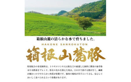 箱根山麓豚　モモ・ウデ切り落とし３K盛り(500ｇ×６パック)【 箱根山麓豚 切り落とし 神奈川県 小田原市 】
