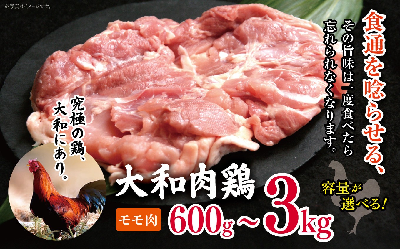 
                  【選べる内容量】大和肉鶏 モモ肉 600g / 1.2kg / 1.8kg / 2.4kg / 3.0kg |  肉 鶏 大和 鶏肉 かしわ うまみ 料理 和食 洋食 食卓 新鮮 食 フード 高品質 コク おすすめ だし 一貫生産 国産 通販 ギフト| 奈良県 五條市
                