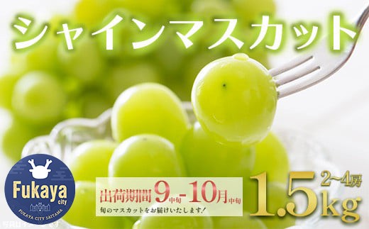
                  シャインマスカット　1.5kg　【11218-0852】
                