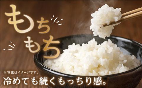 【全12回定期便(月1回)】令和5年度産 木場の湧水米＜ひのひかり＞(3kg×12回) / 東彼杵町 / 木場みのりの会 / お米 米 白米 ふっくら ツヤツヤ 甘い 国産 3kg [BAV003]