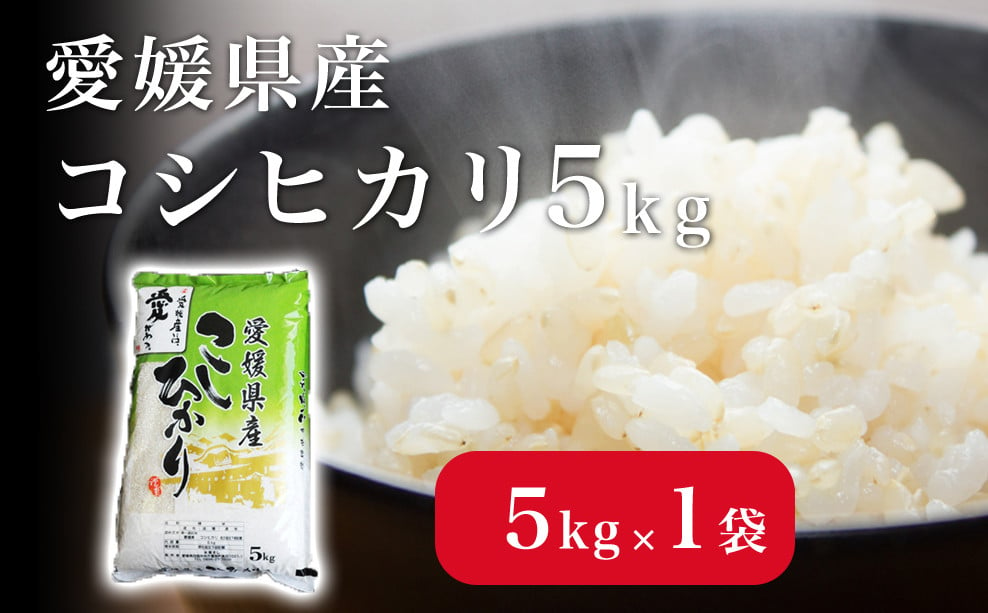 
            米 こめ お米 おこめ コシヒカリ こしひかり 5kg 白米 ごはん 四国中央市 愛媛県 おいしい ふっくら 【四国中央市 紙のまち 日本一】
          