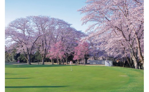 桜の宮ゴルフ俱楽部  ゴルフプレー補助券 9000円分