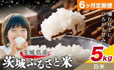 米5kg6回定期便《翌々月から出荷開始》白米6ヶ月【茨城県共通返礼品】